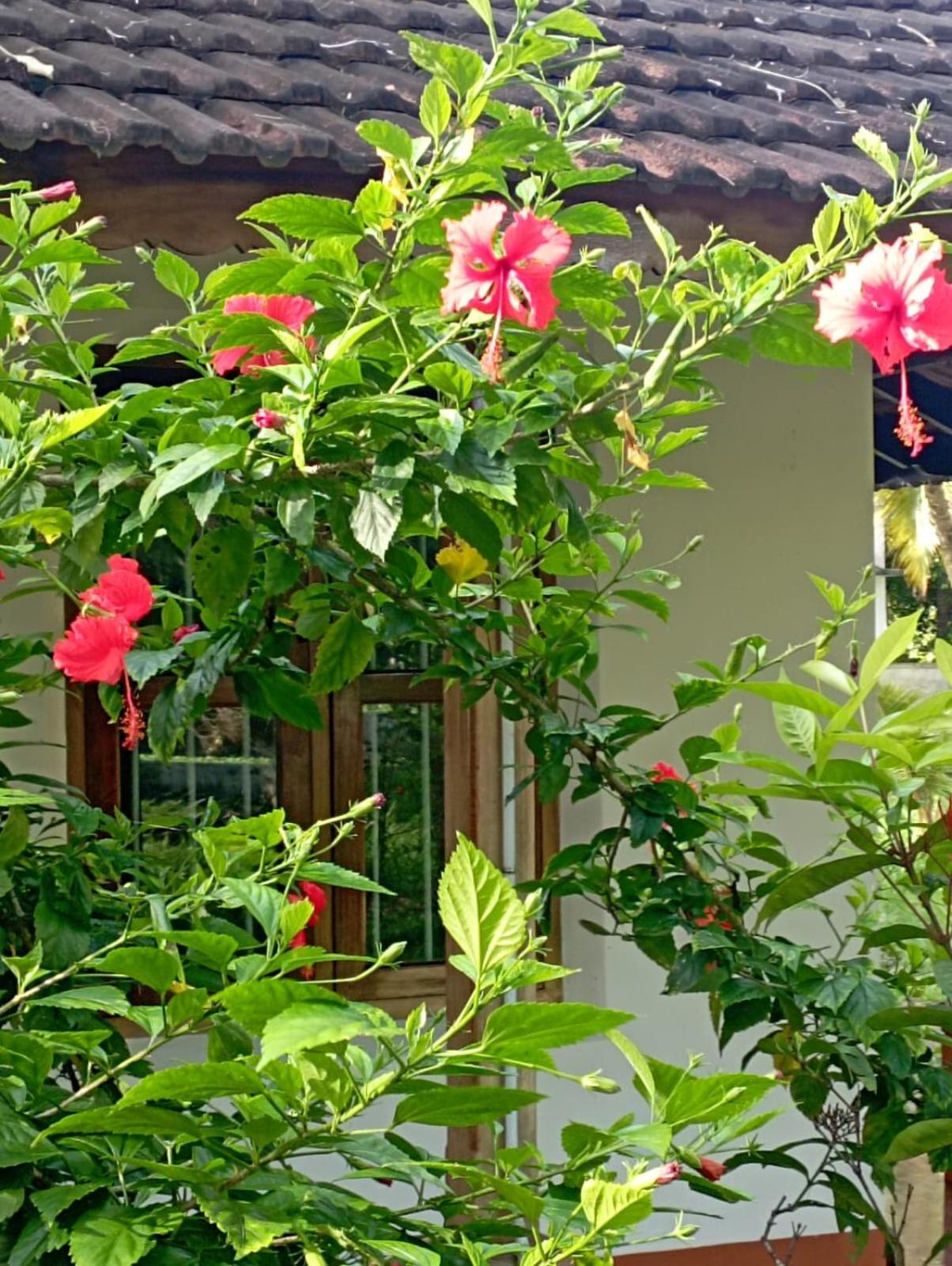 Gramam Homestay, Cochin Kochi Dış mekan fotoğraf